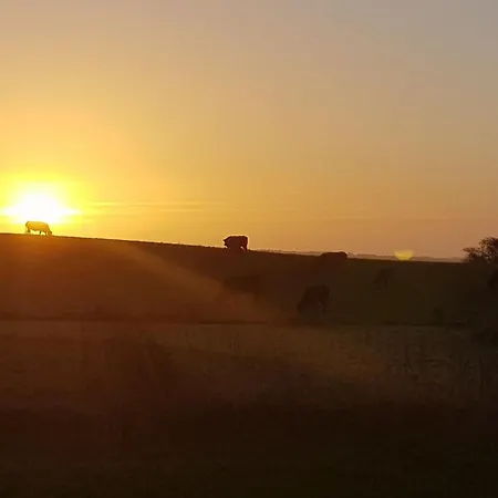 Siebelt - 200m From The Sea By Interhome